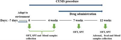 Antidepressant Shugan Jieyu Capsule Alters Gut Microbiota and Intestinal Microbiome Function in Rats With Chronic Unpredictable Mild Stress -Induced Depression